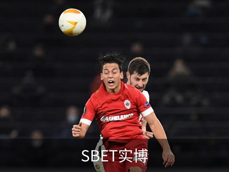 SBET实博介绍